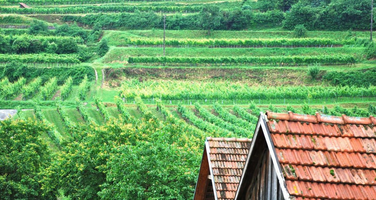 Weingut Jakob'S Ruhezeit Mautern Exterior foto